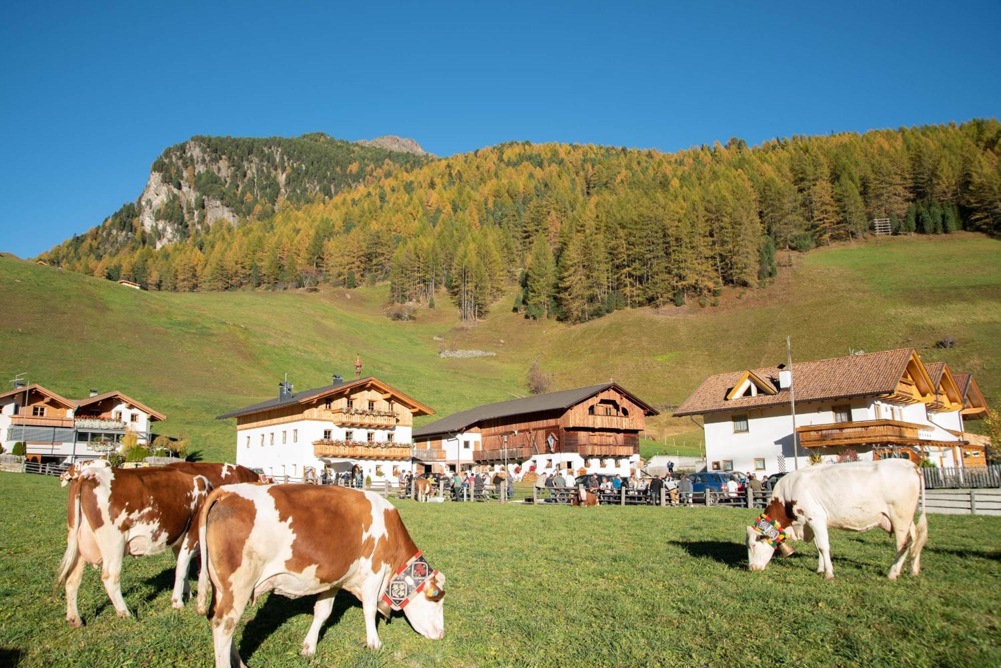 Mooserhof Campo Tures Exterior photo